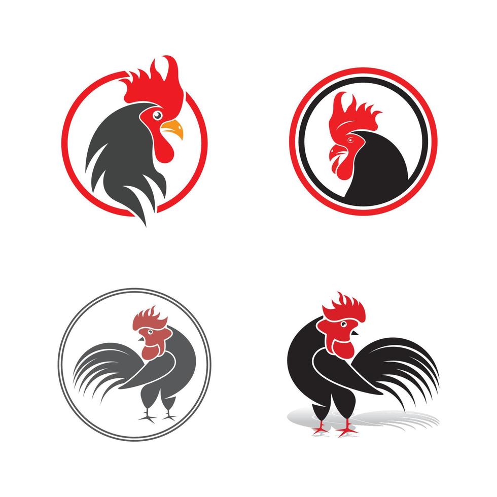 Hahn Logo Symbol Vektor und Symbol Vorlage