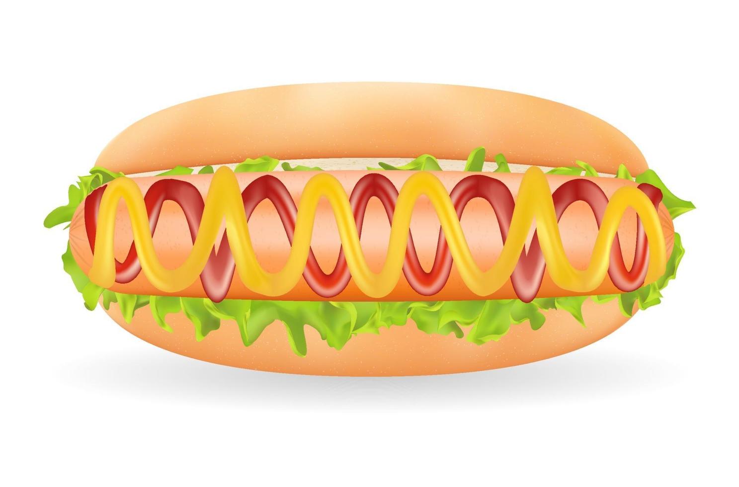 echte Hot Dog Wurst mit Sauce in einem Brot auf einem weißen Hintergrund vektor