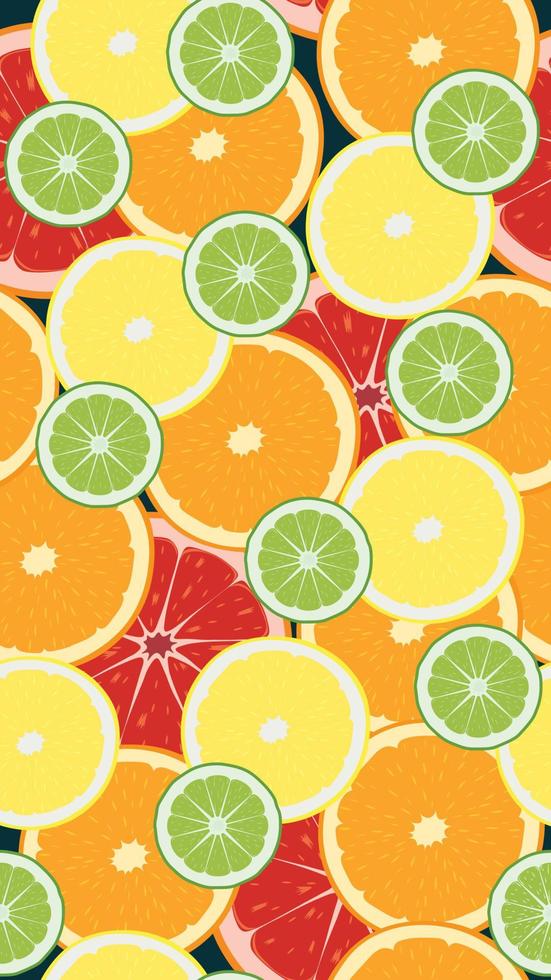 citrus- skivor samling sömlös bakgrund vektor illustration