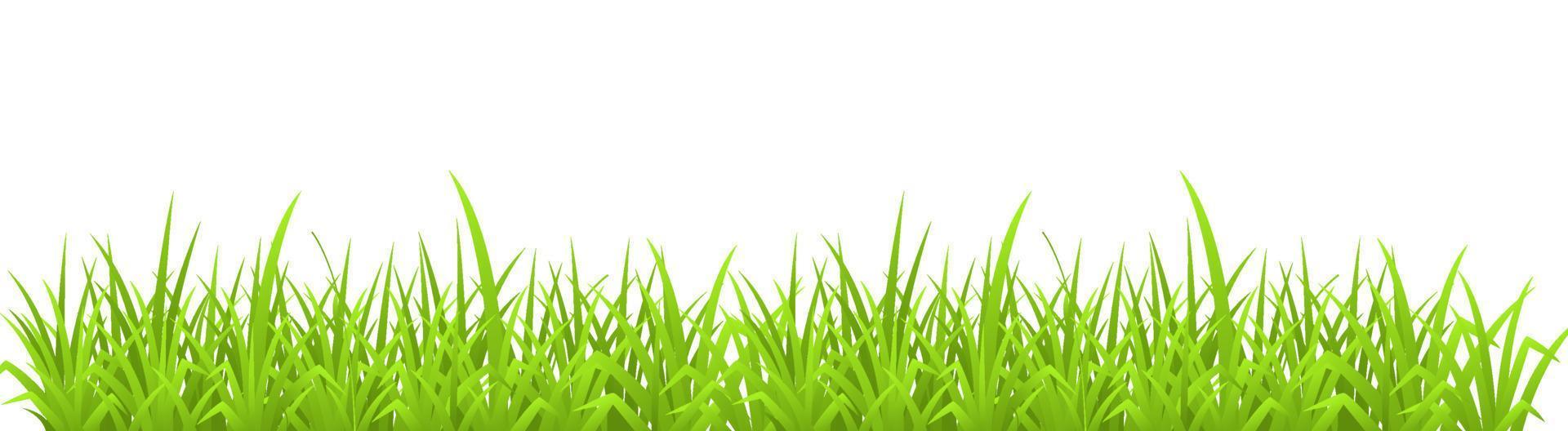vektor illustration av en grön gräs isolera på vit bakgrund med kopia Plats för text.