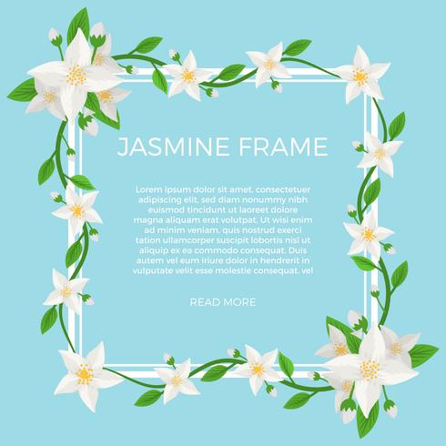 Flat Jasmine Flower Bakgrund Mall Vector
