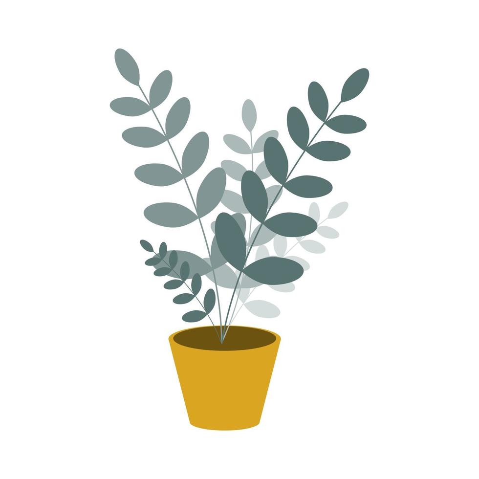 Topf Innenblume, Zamioculcas auf einem weißen Hintergrund. Vektorillustration in einem flachen Stil vektor