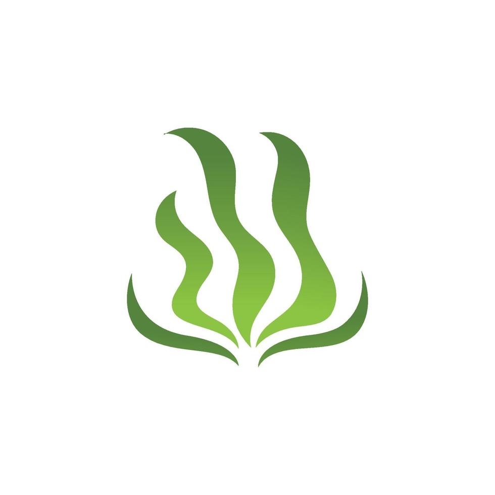 Seetang Meer der Natur Logo Vektor-Illustration Design vektor
