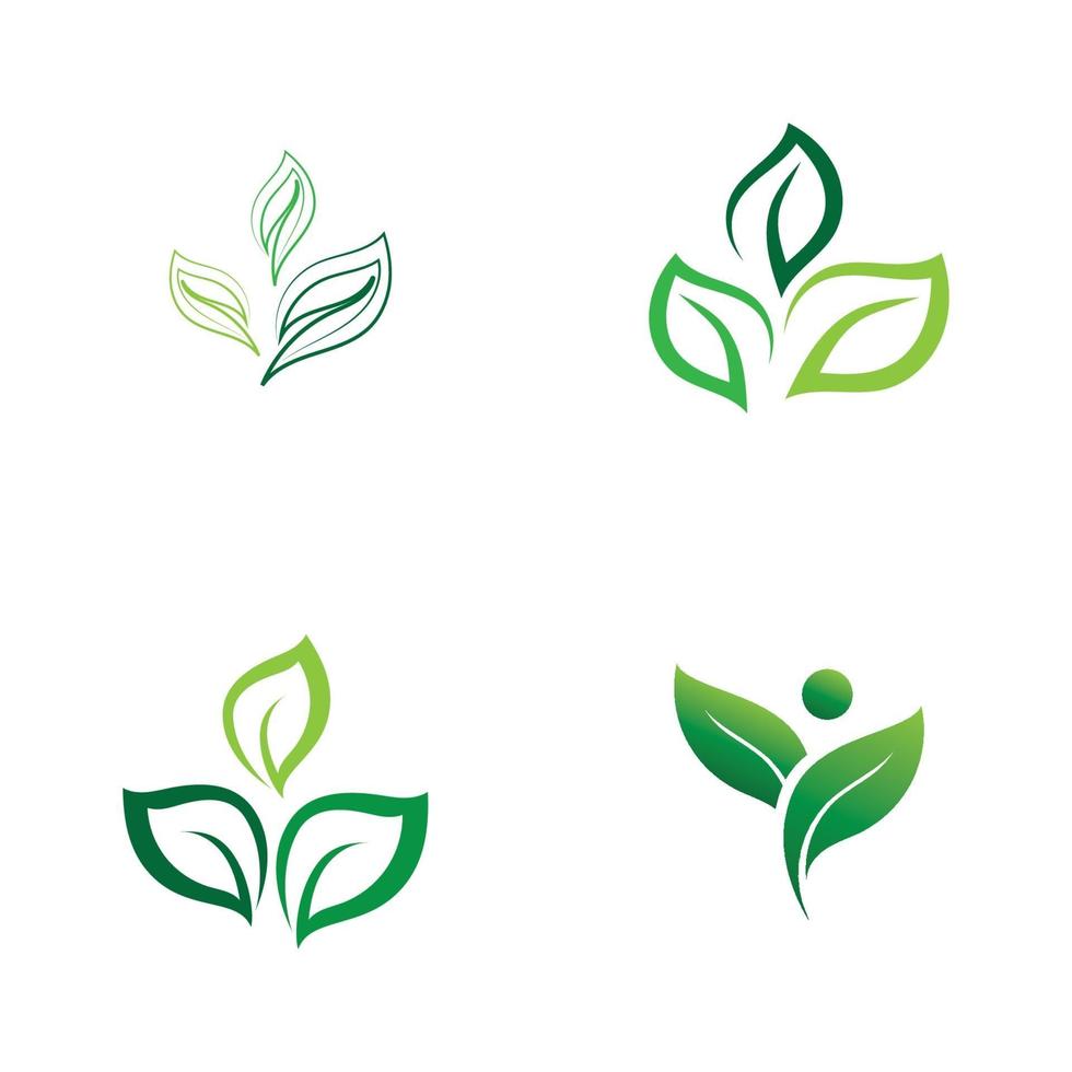 grönt blad logotyp natur ekologi vektor