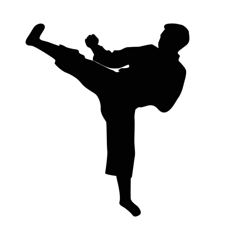 Symbol von Mann tun Taekwondo trete Vektor