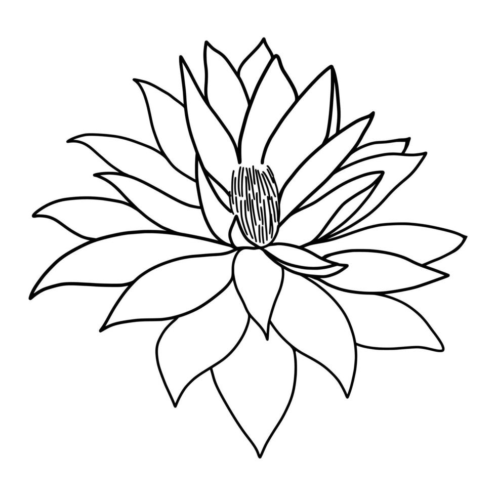 översikt lotus blomma isolerat på vit bakgrund. vektor illustartion