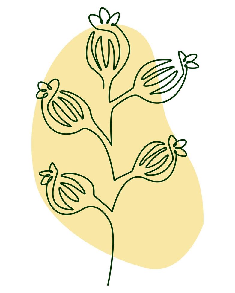 Blume Linie Kunst Vektor Illustration. Hand gezeichnet botanisch Illustration.