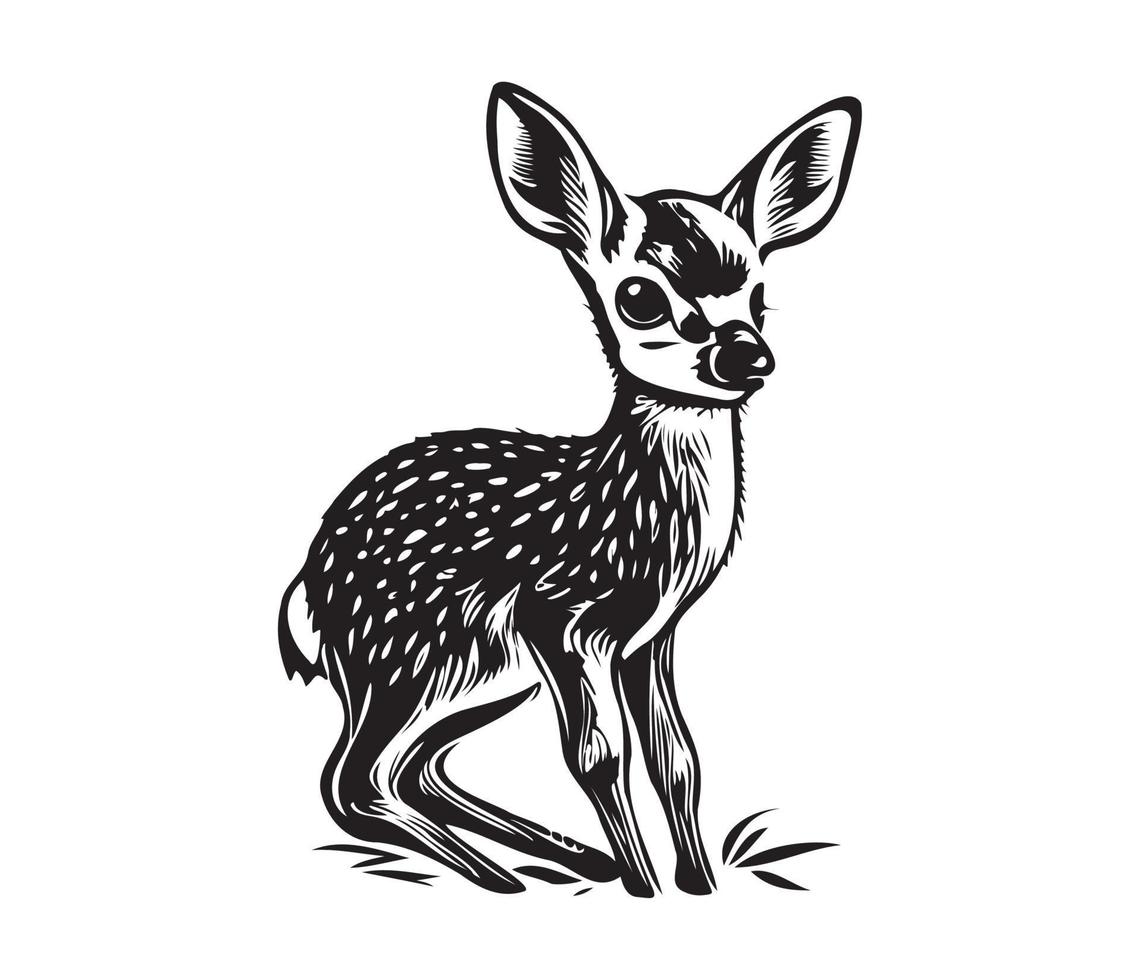 Illustration von jung Reh, Baby Hirsch Symbol schwarz und Weiß vektor