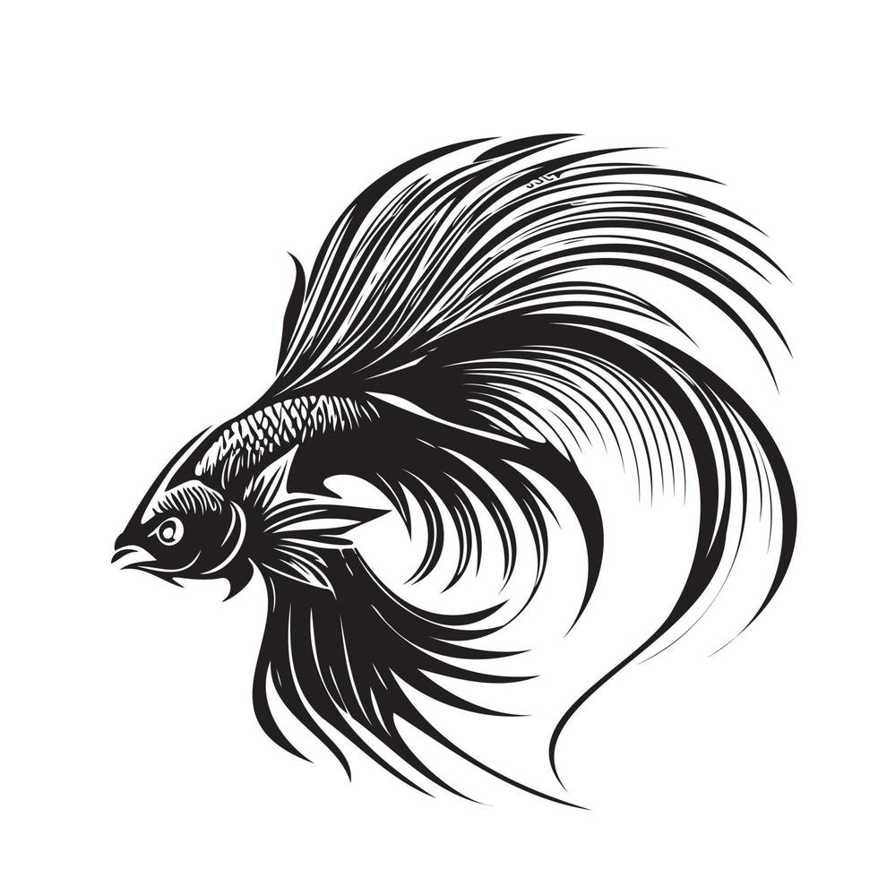 betta fisk vektor illustration, stridande fisk logotyp design