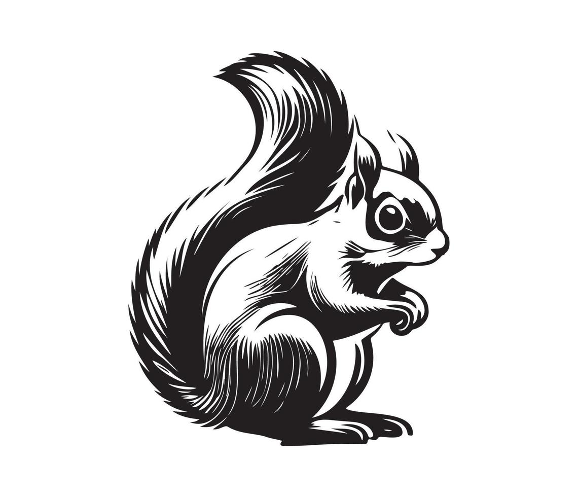 Eichhörnchen Gesicht, Silhouetten Eichhörnchen Gesicht, schwarz und Weiß Eichhörnchen Vektor
