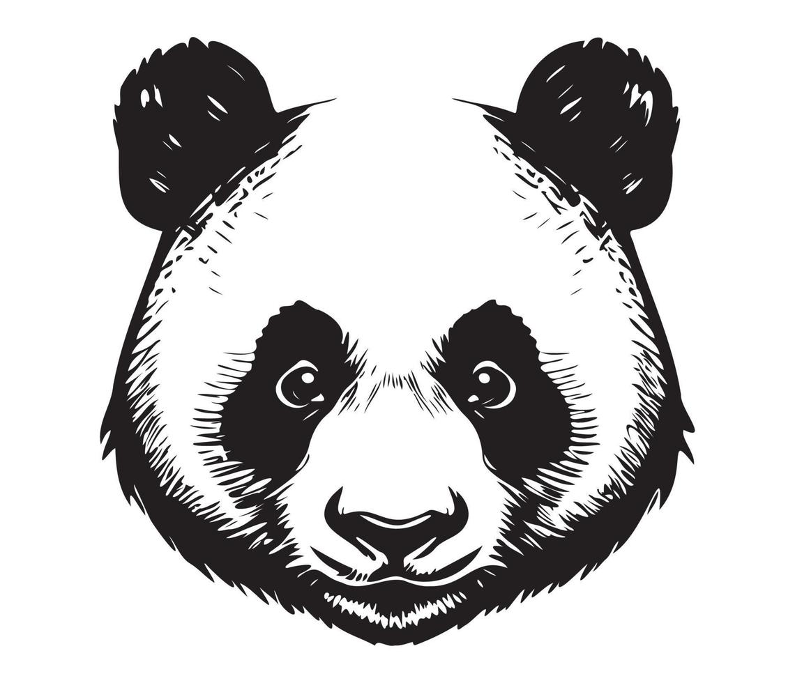 panda ansikte, silhuetter panda ansikte, svart och vit panda vektor