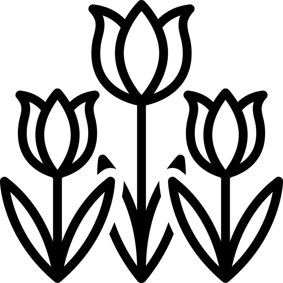 Liniensymbol für Tulpe vektor
