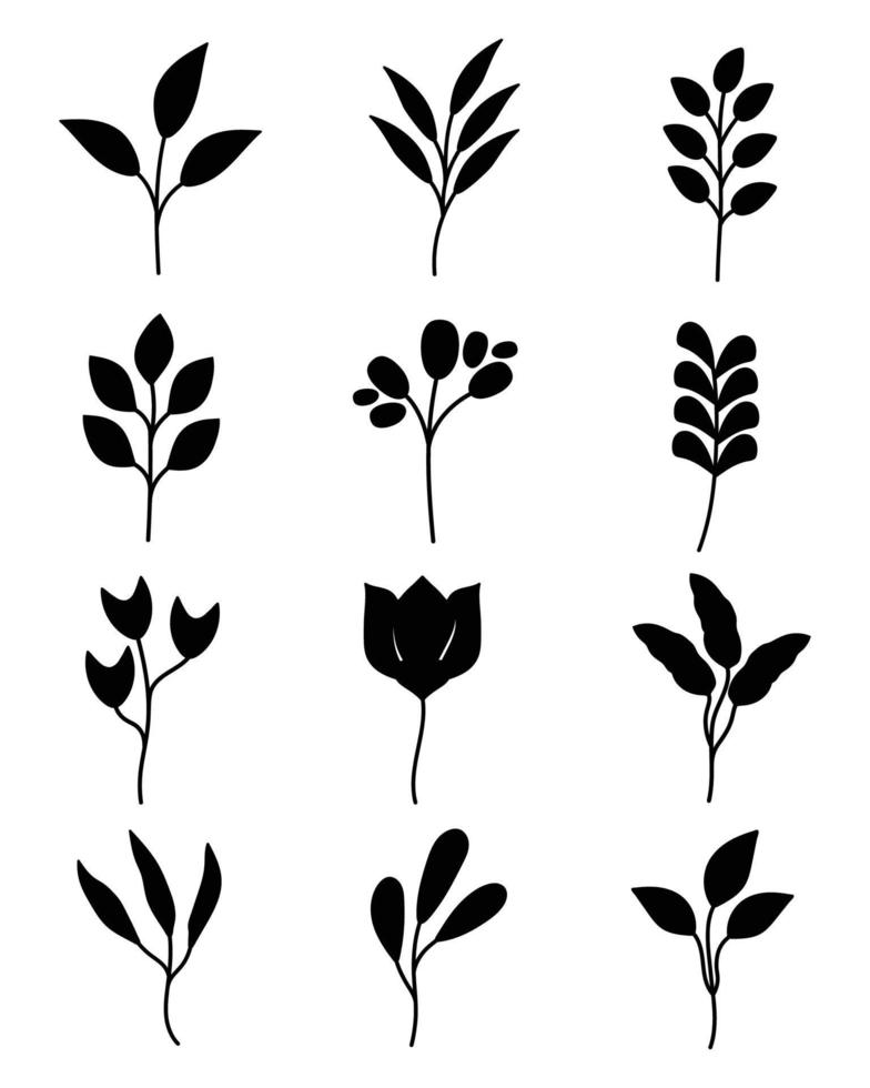 uppsättning av ritad för hand blomma, blad, växter och blommor element. isolerat grenar på en vit bakgrund. vektor