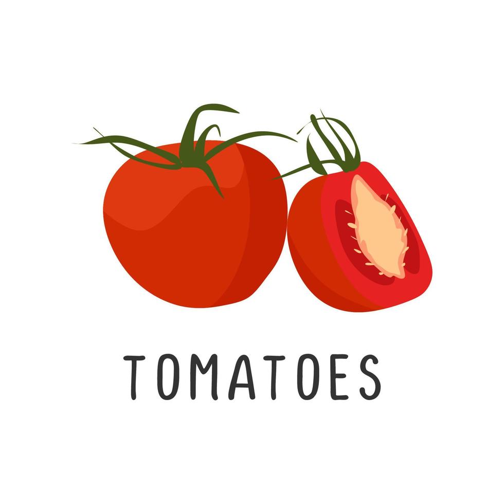 Tomaten Vektor Illustration, eben Design Karikatur von saftig Tomate