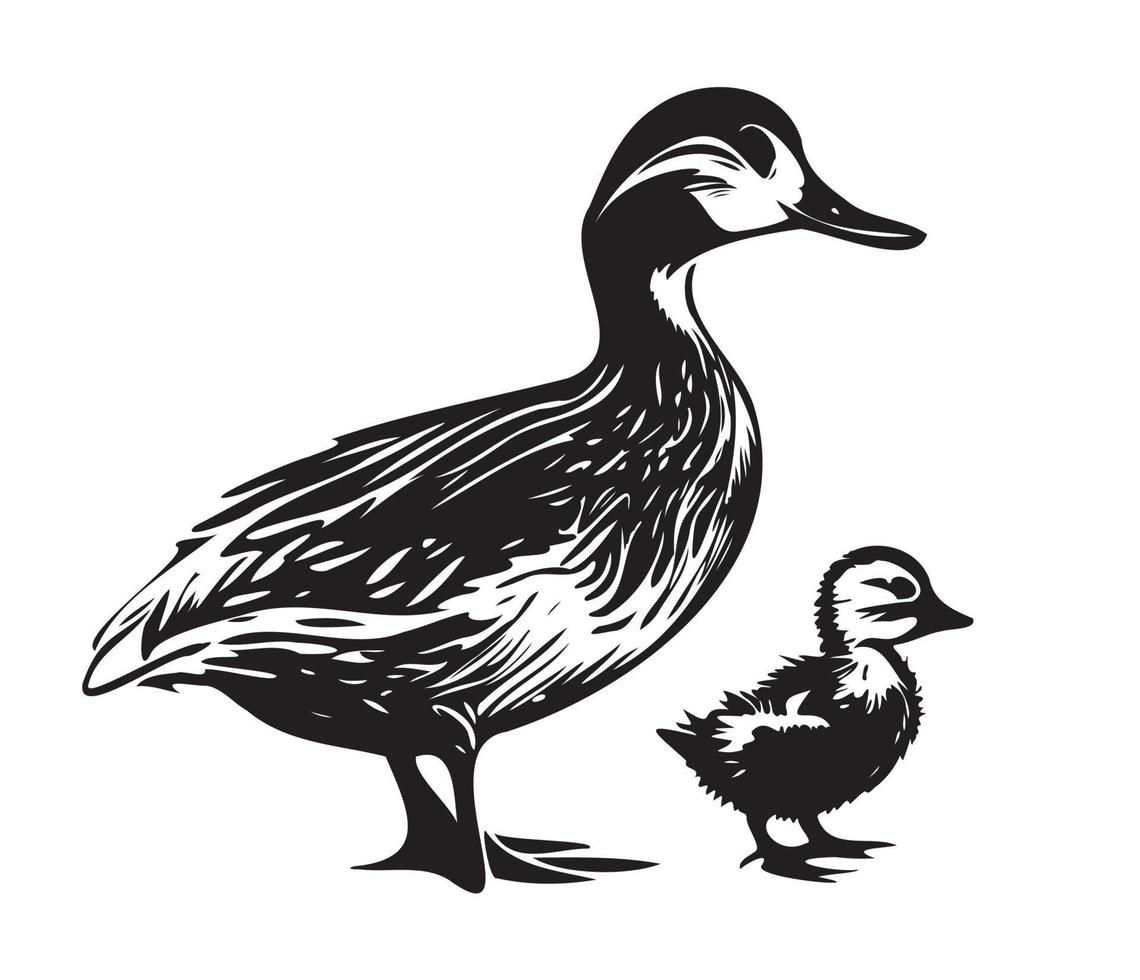 Ente mit Entlein, Mama und Baby Ente, Ente Schwimmen im das See Illustration vektor