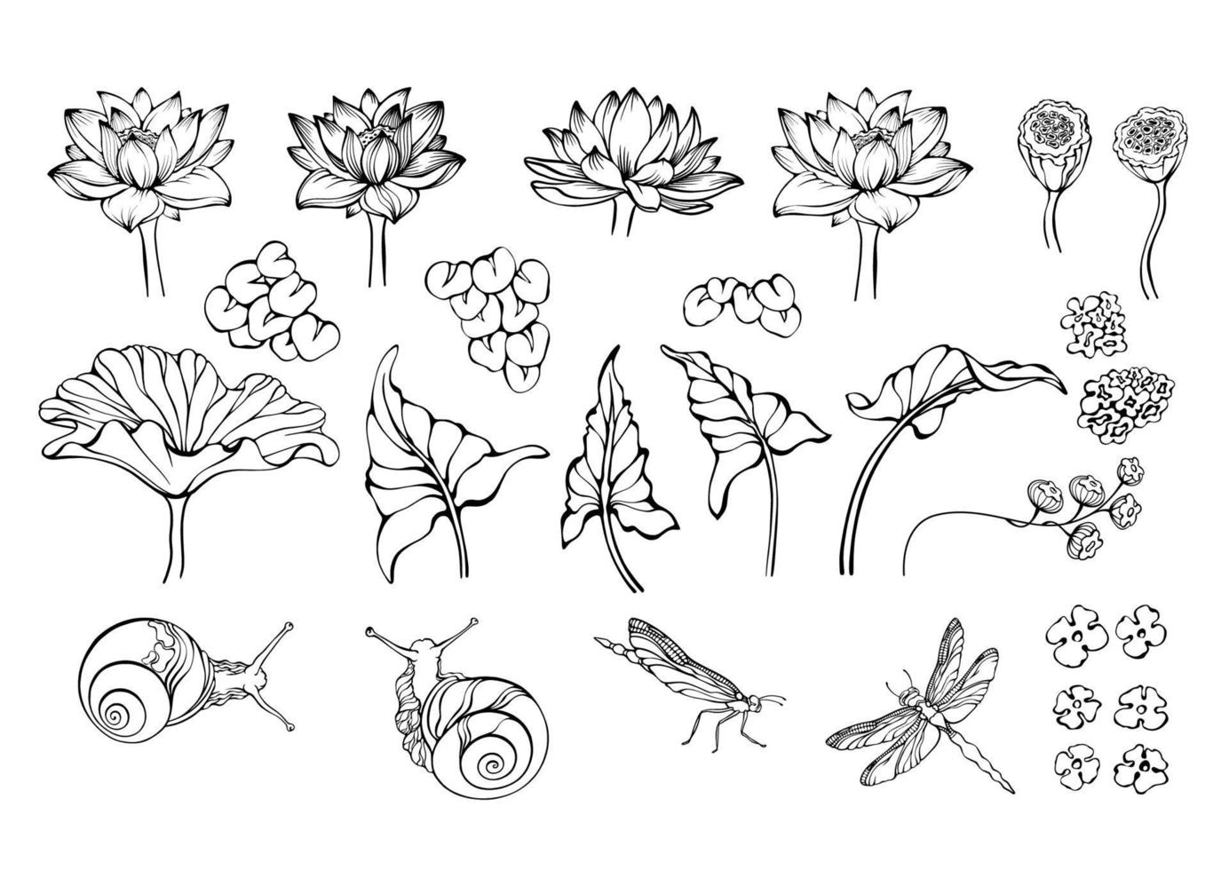 Lotus, Schnecke, Libelle, und einstellen von See Pflanzen. Vektor Illustrationen.