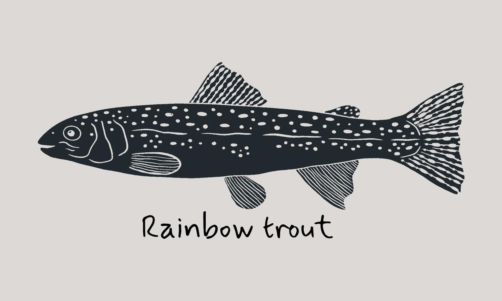 Hand gezeichnet Regenbogen Forelle Fisch im skizzieren Stil. einfach Vektor isoliert Illustration auf Beige Hintergrund