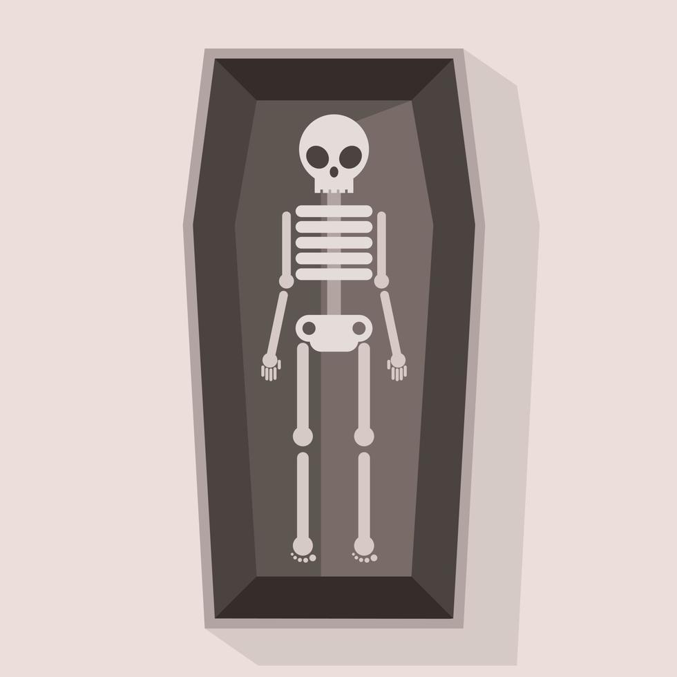 Vektor Bild von ein Skelett im ein Sarg