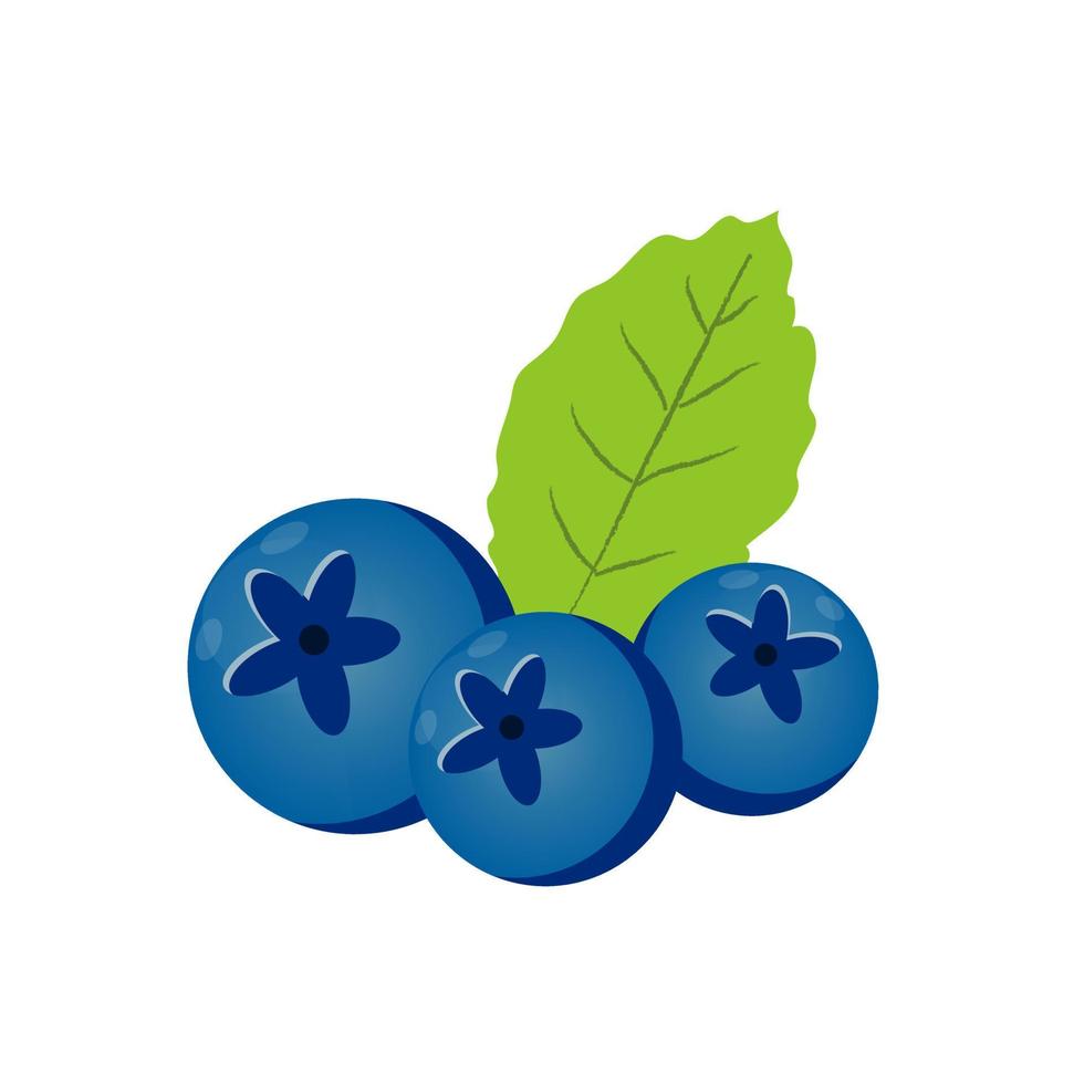 vektor blåbär med mynta löv isolerat på vit bakgrund.