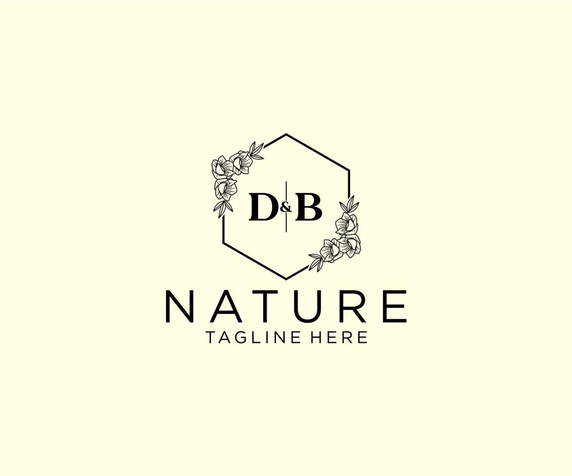 Initiale db Briefe botanisch feminin Logo Vorlage Blumen, editierbar vorgefertigt Monoline Logo geeignet, Luxus feminin Hochzeit Marke, Unternehmen. vektor