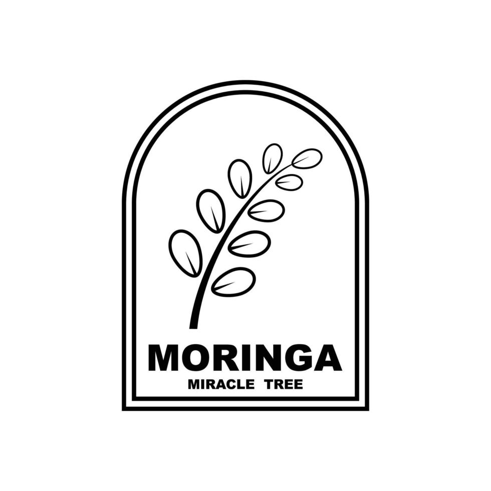 Grünes Moringa-Blatt-Logo, für pflanzliche Inhaltsstoffe, Moringa-Landwirtschaft, Gesundheit, Medizinindustrie, Schönheit, Therapie, Konzeptdesign-Vektorillustrations-Icon-Vorlage mit einem modernen Konzept vektor