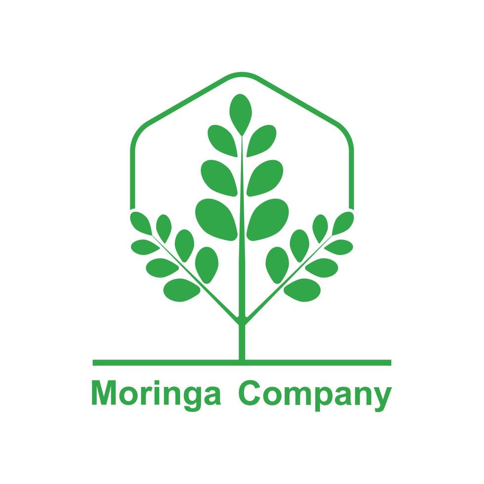 grön moringa blad logotyp, för ört- Ingredienser, moringa jordbruk, hälsa, medicin industri, skönhet, terapi, begrepp design vektor illustration ikon mall med en modern begrepp