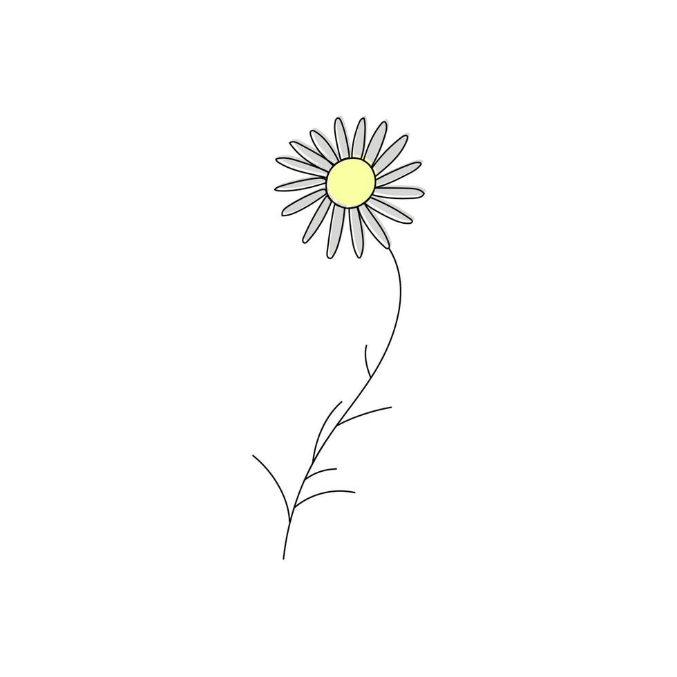 vektor teckning kamomill blomma, blommig element, ritad för hand botanisk illustration