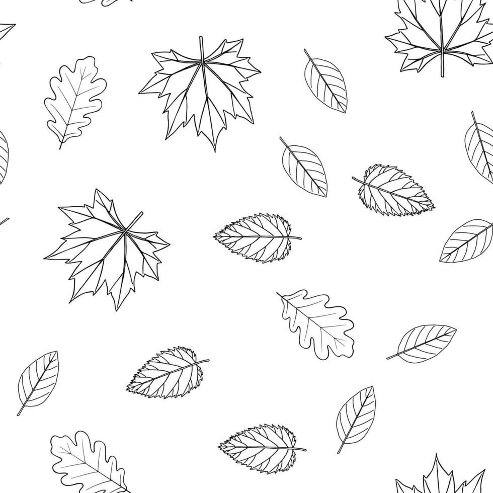 nahtloses Muster mit Blättern im Linienstil. Ahorn-, Eichen-, Birken-, Erlenblätter. Pflanzen der mittleren Zone. Vektor isoliert auf weißem Hintergrund.