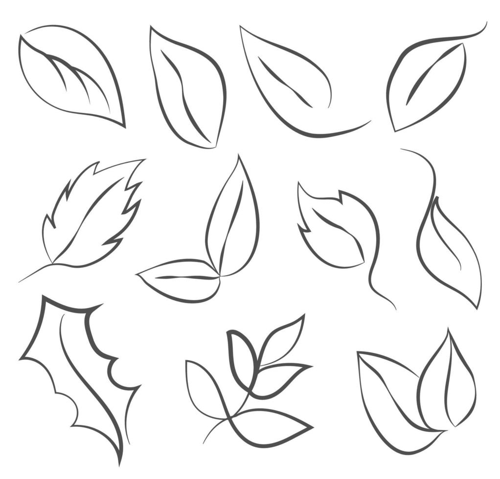 uppsättning av löv i linje konst stil, skiss teckning, symboliserar eko, ekologi vektor