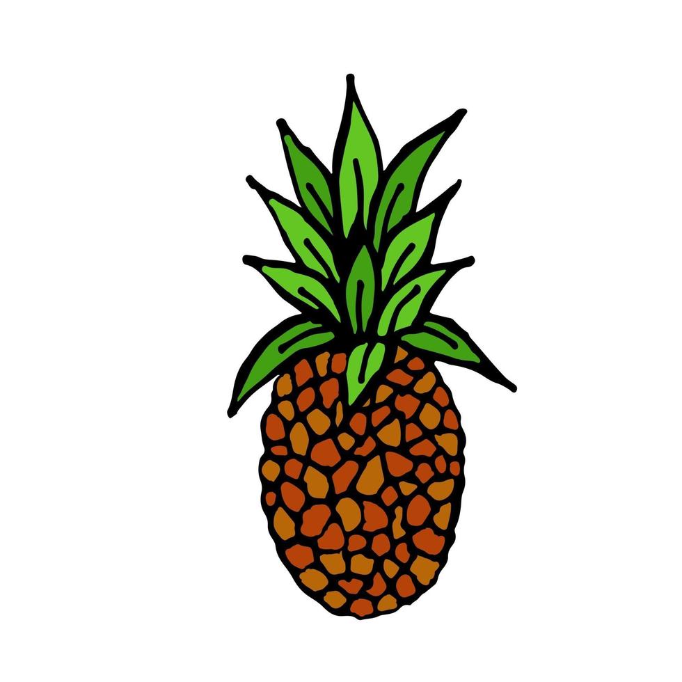 ananas med gröna blad, mogen tropisk frukt, exotisk produkt, vektorillustration i klotterstil, handdrag. vektor
