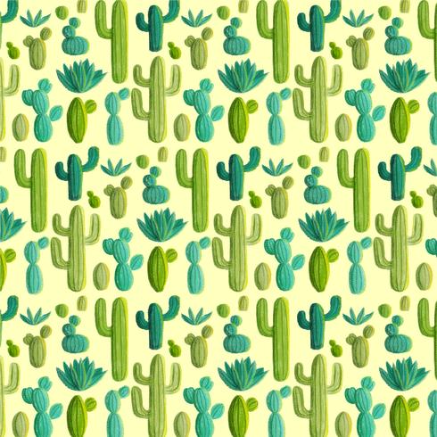 Vektor-Hand gezeichnetes Kaktus-Muster vektor