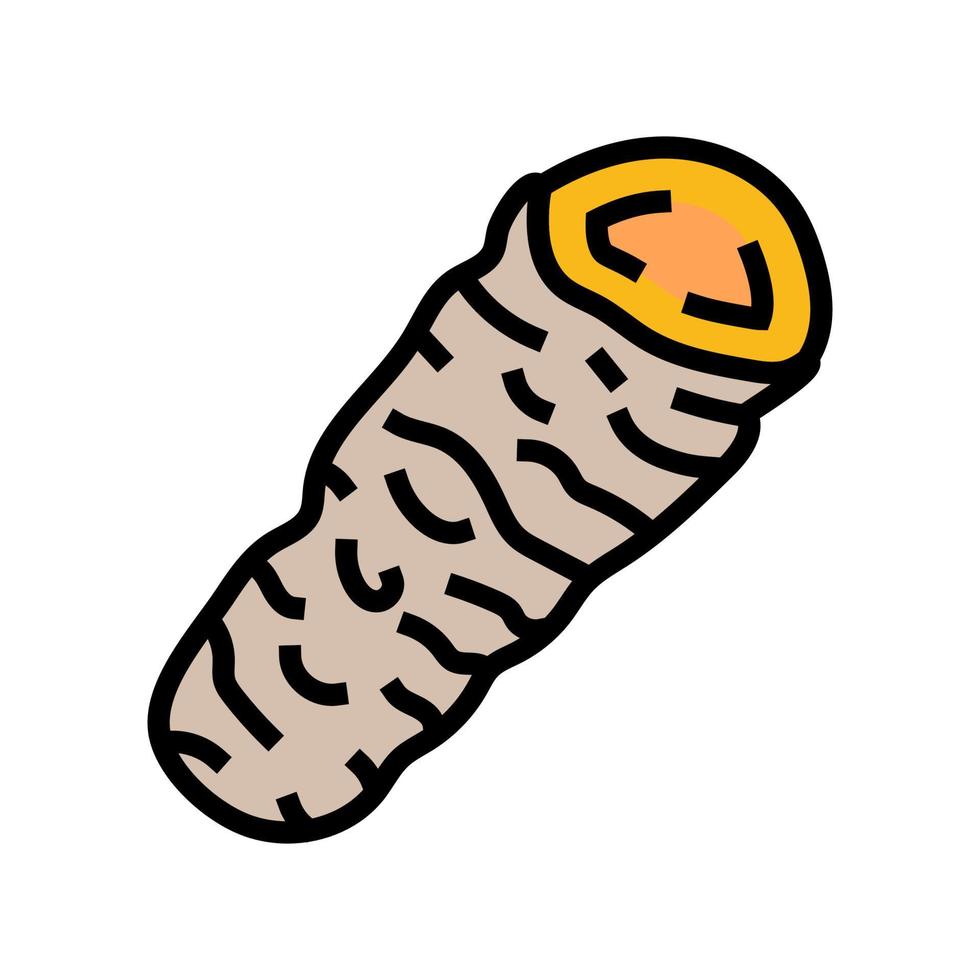 Kurkuma Essen Kraut Farbe Symbol Vektor Illustration