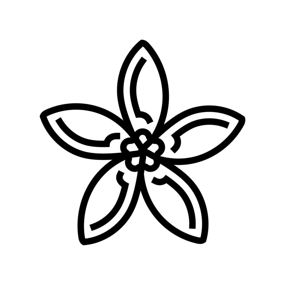 Jasmin Blume Frühling Linie Symbol Vektor Illustration