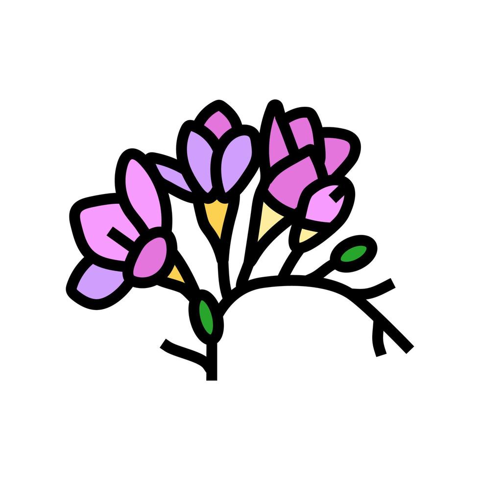 Freesie Blume Frühling Farbe Symbol Vektor Illustration