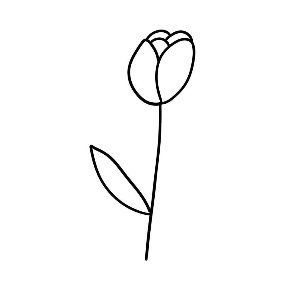 Blume im Gliederung Gekritzel eben Stil zum Färbung. einfach Blumen- Element Pflanze Blätter dekorativ Design. Hand gezeichnet Linie Kunst. kreativ skizzieren. Vektor Illustration isoliert auf Weiß Hintergrund.