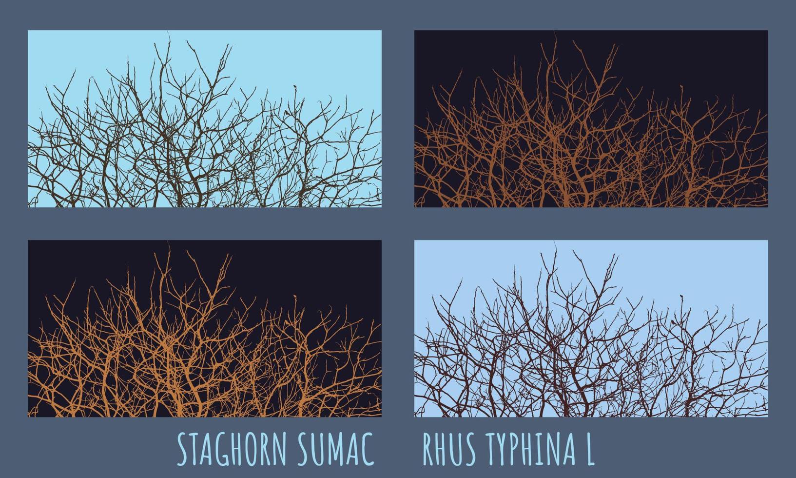 vektor illustration av grenar av stjälk sumak rhus tyfin l i tidigt vår mot de himmel.