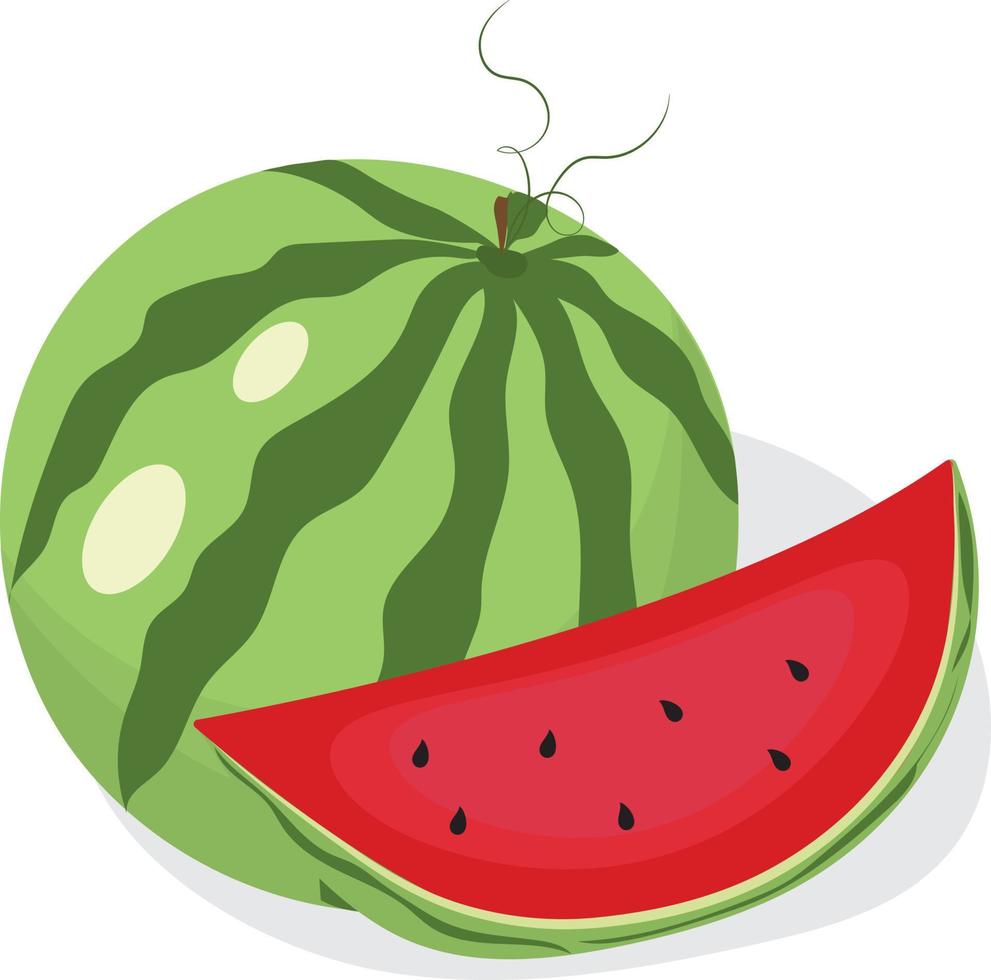 saftig vattenmelon. hackad vattenmelon. hög kvalitet vektor illustration.