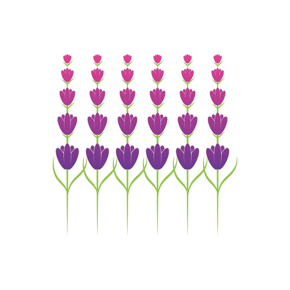 lavendel blomma logotyp symbol mall vektor