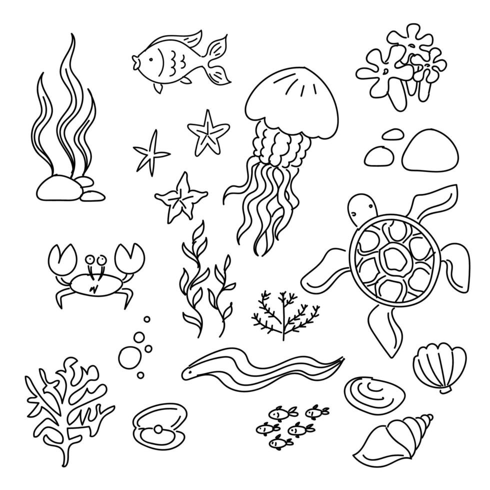 Gekritzel einstellen von süß Meer Kreaturen. Wasser Schildkröte, Muscheln, Qualle, Krabbe, Fisch vektor