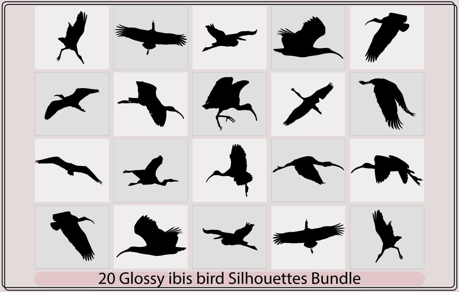 glansig ibis fågel siluett, glansig ibis fågel silhuett bunt, glansig ibis fågel illustration, glänsande ibis fågel vektor, vektor