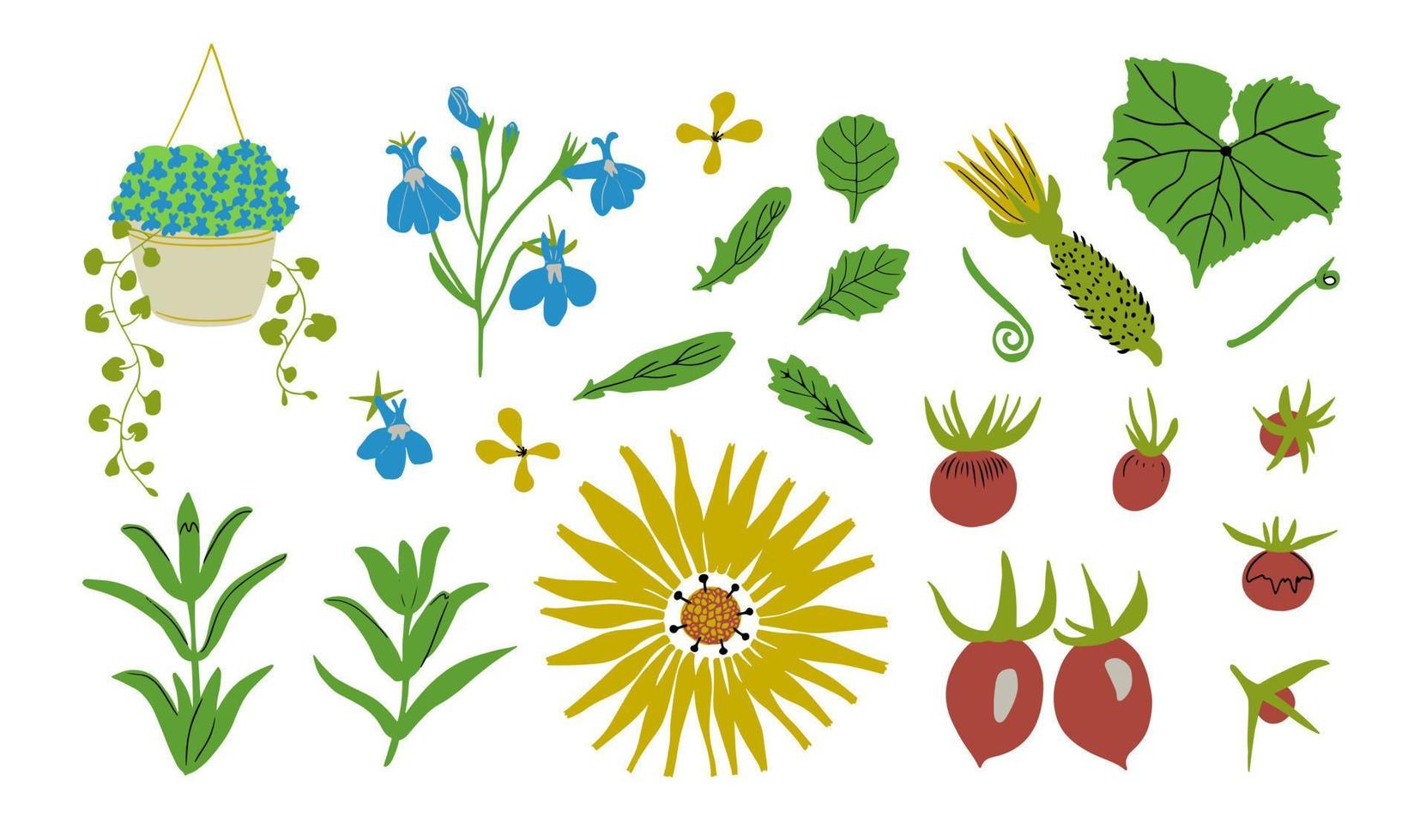 trädgård blommor, löv och grönsaker uppsättning. vektor illustration. trädgård växter, blommor och frukt.