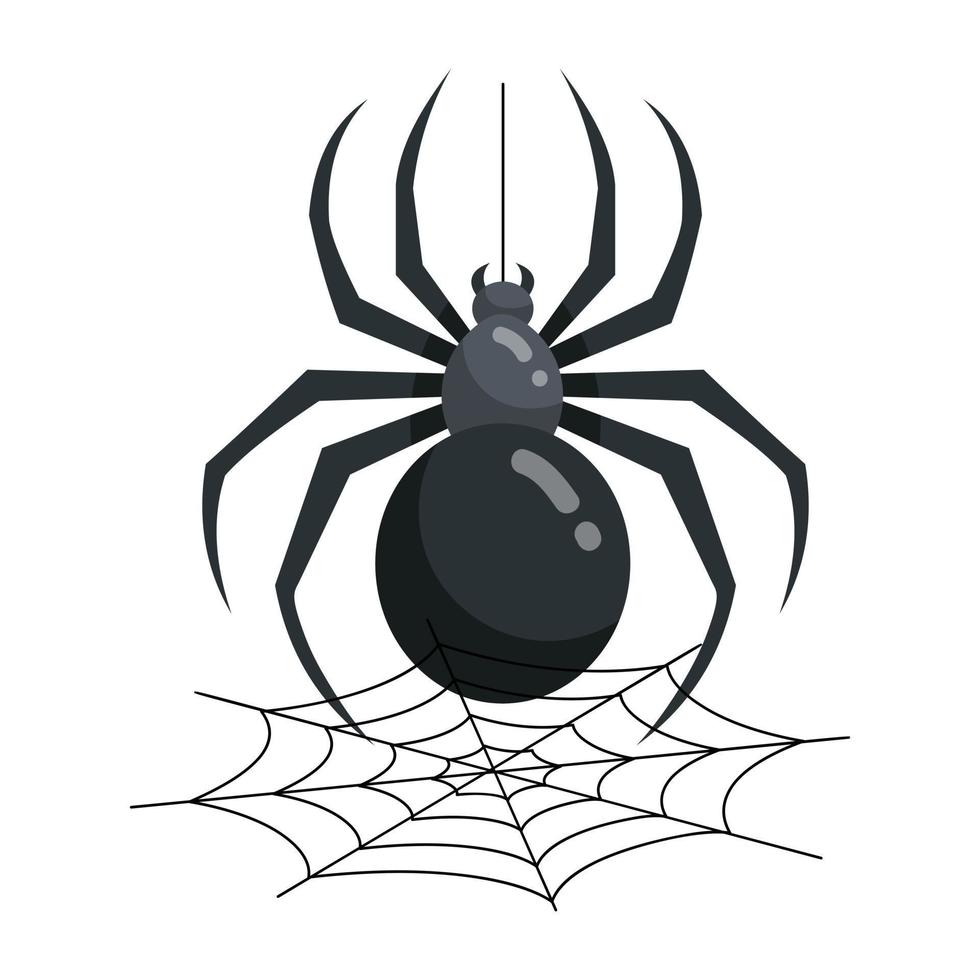 trendiges Spinnennetz vektor