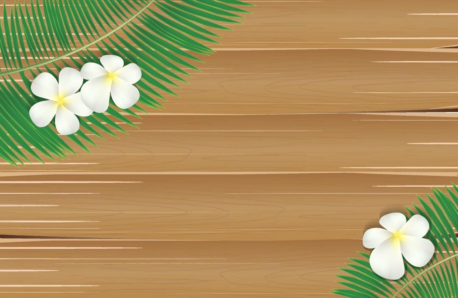 Kokosnussbaumblatt mit Plumeria-Blume auf Holzbrett vektor