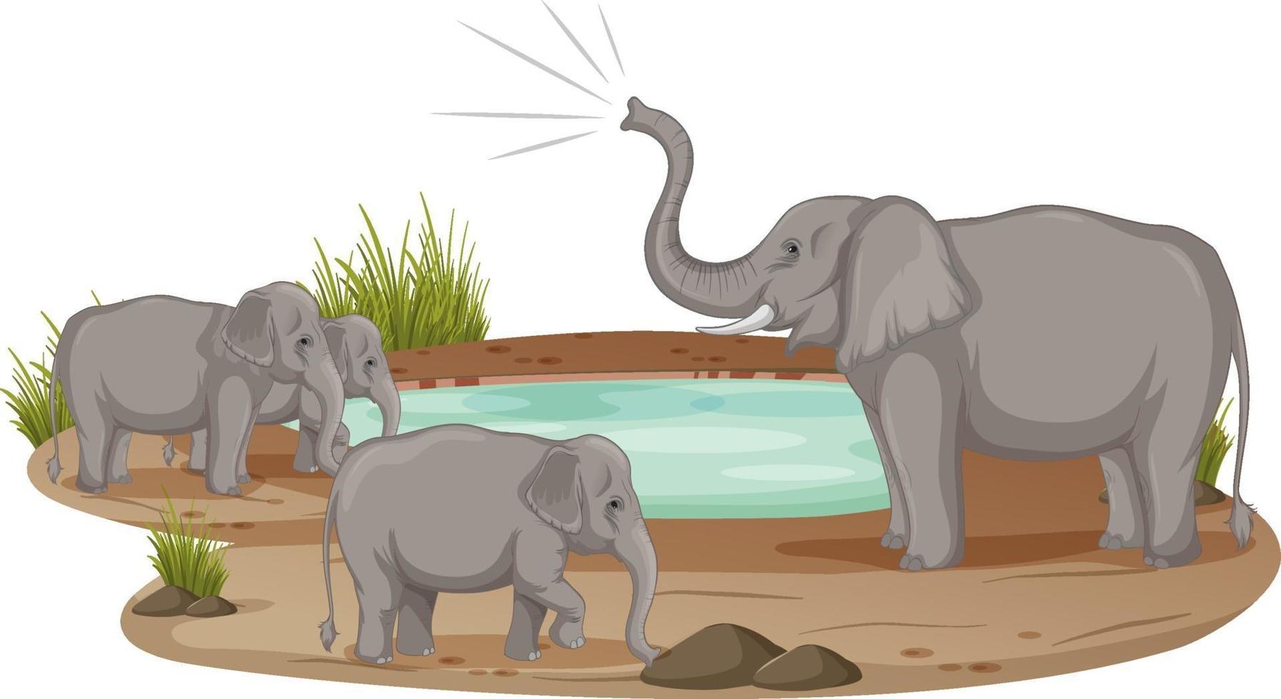 elefantfamilj som står vid dammen som isoleras på vit bakgrund vektor