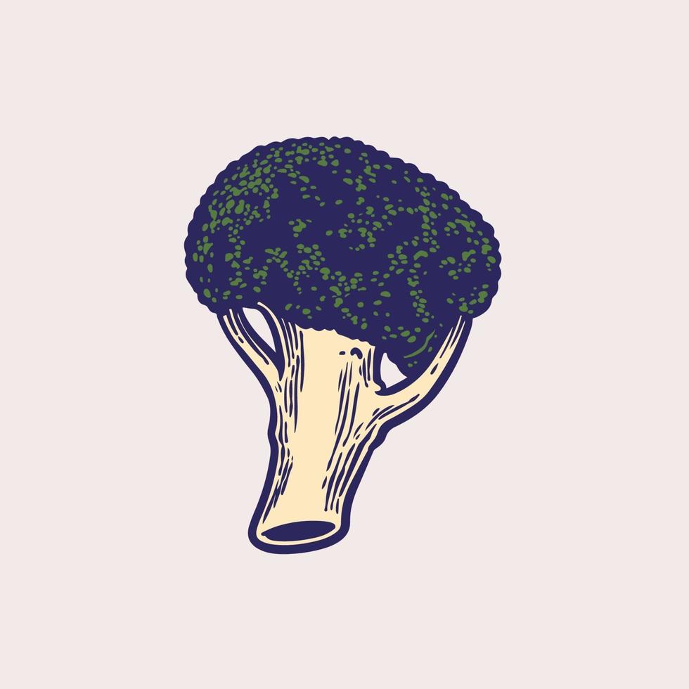 hand ritning skiss av broccoli vintage gravyr. eco foods koncept. detaljerad vegetarisk mat designelement. hälsosam ekologisk mat. vektorillustration konst för gårdsmarknadsprodukt vektor