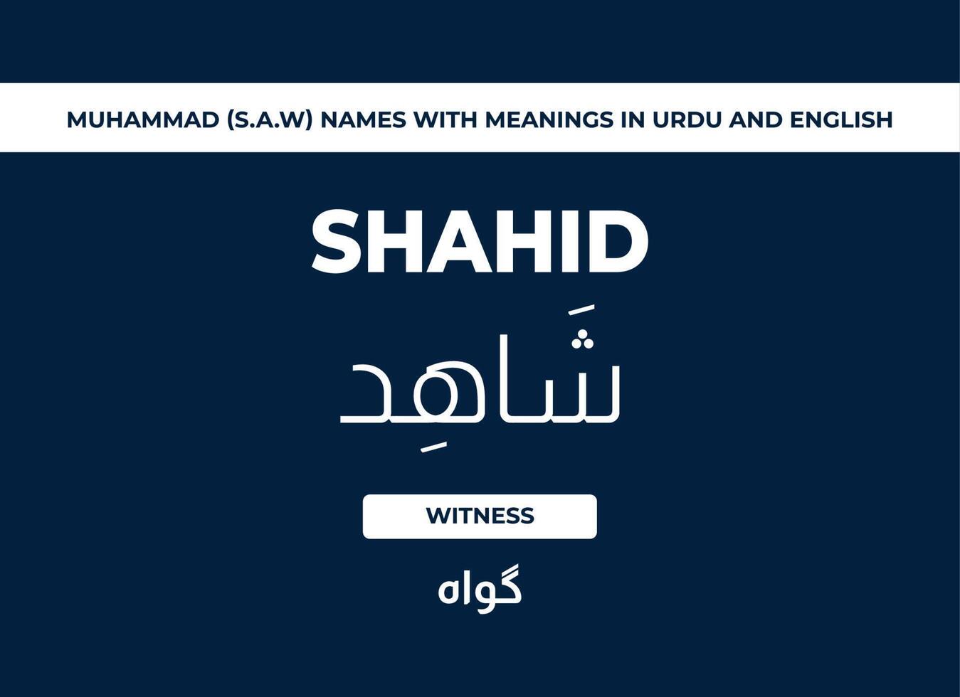 Mohammed gesehen Namen mit Bedeutungen im Urdu und Englisch vektor