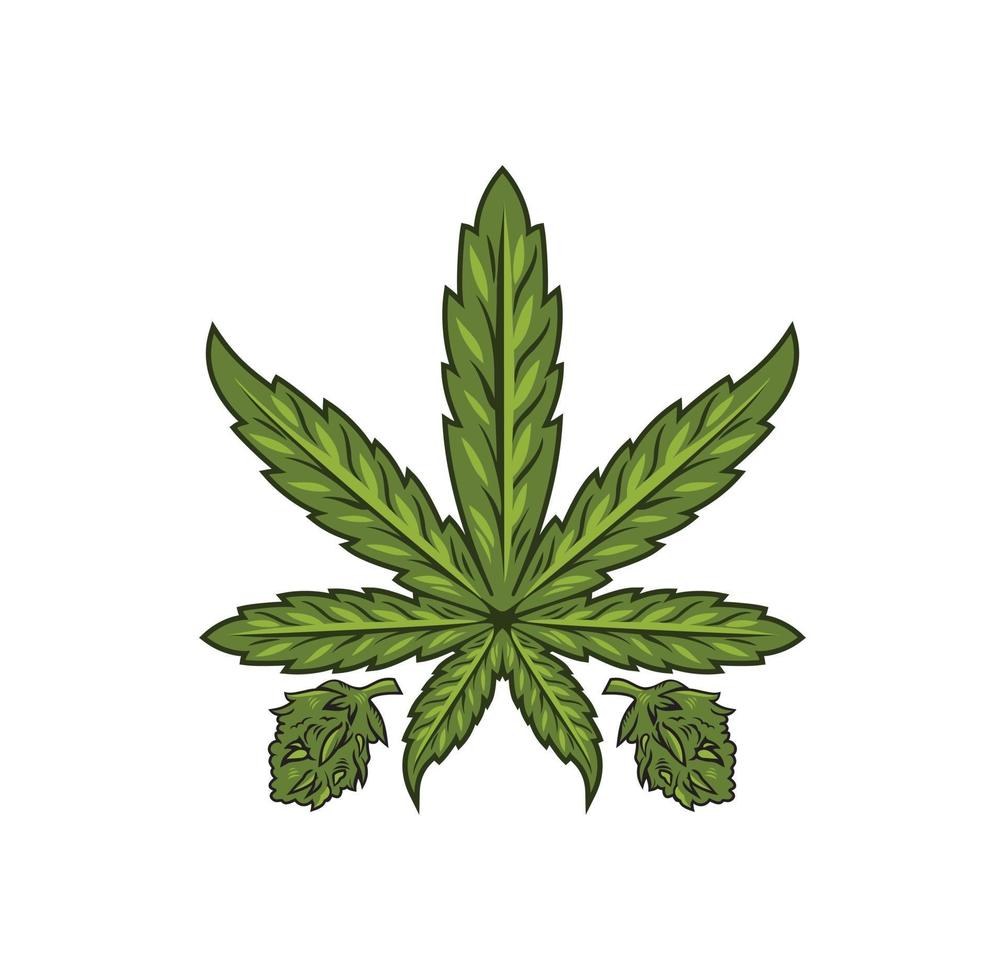 cannabis marijuana blad design illustration vektor