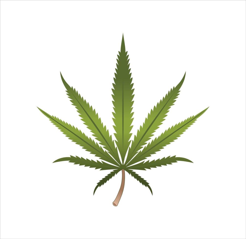 realistische Marihuana Blatt Design Illustration vektor