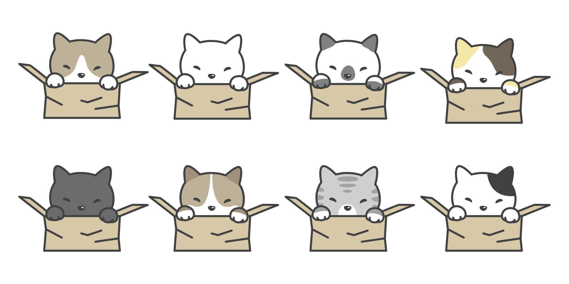 katt vektor ikon kattunge kalikå låda tecknad serie karaktär illustration ikon klotter vit