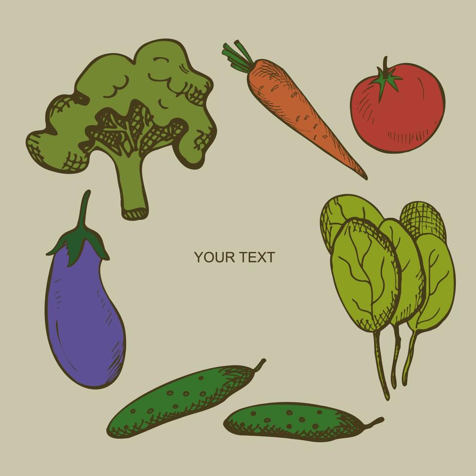 uppsättning med grönsaker. illustration med dragen tomat, sallad, broccoli, morötter, gurkor, äggplanta. friska mat, specerier, marknadsföra. bakgrund för affisch, baner, flygblad. platt vektor illustration